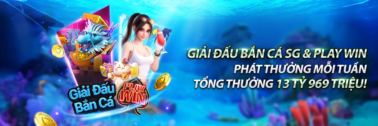 Sân đấu gà trực tuyến Solarbet Win với không khí sôi động