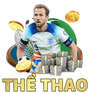 Chương trình VIP độc quyền của solarbet win